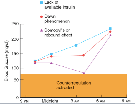 Dawn fenomeen en somogyi effect
