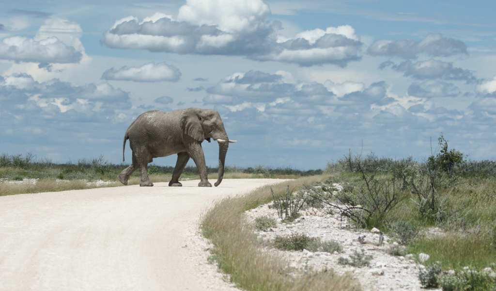 Diabeteszorg in Namibië – Inge